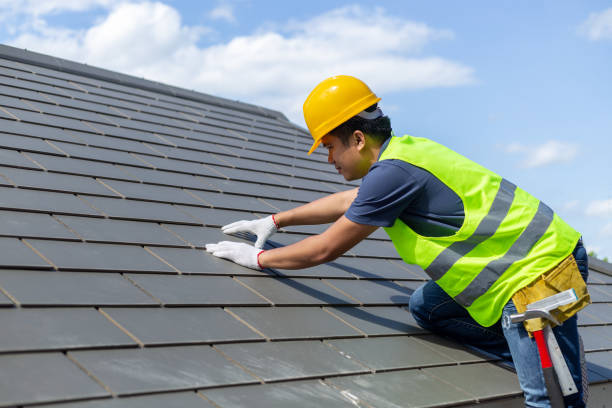 Best Roof Insulation Installation  in Ivanhoe, TX