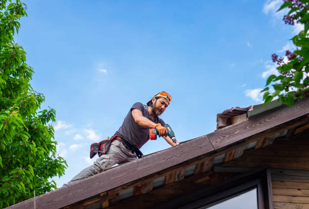 4 Ply Roofing in Ivanhoe, TX