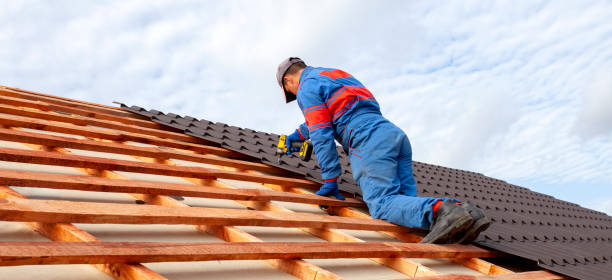 Best Gutter Installation and Repair  in Ivanhoe, TX